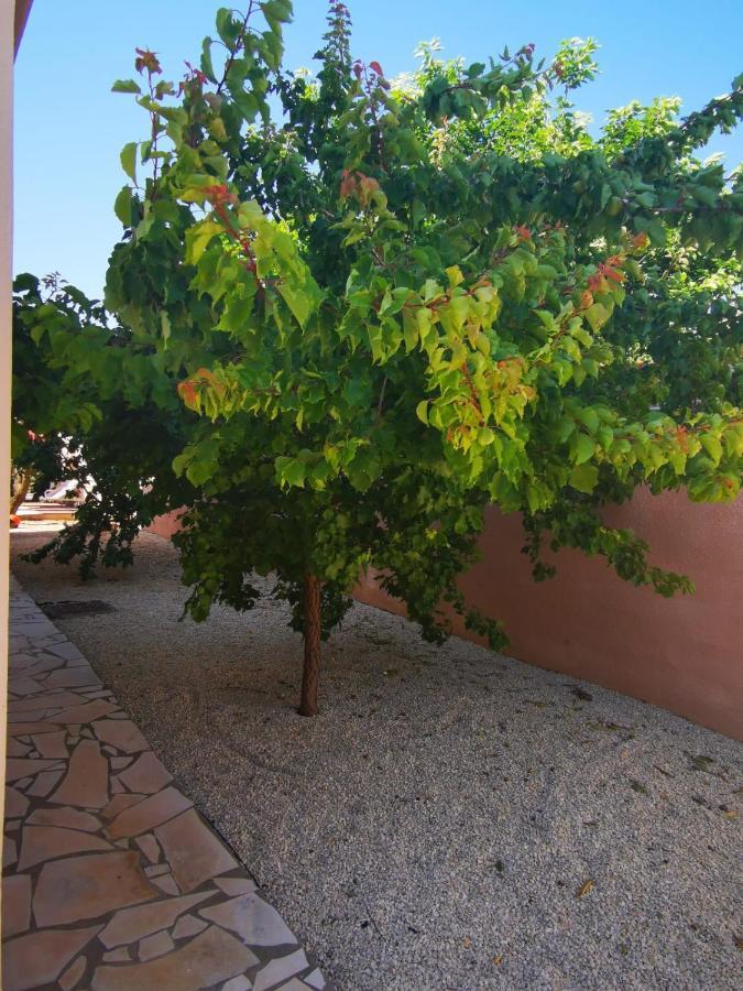 Gites Avec Grande Piscine Et Sa Terrasse Privative Bernis Dış mekan fotoğraf